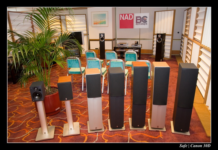 2006 - 10 - Salon hifi sofitel - 175